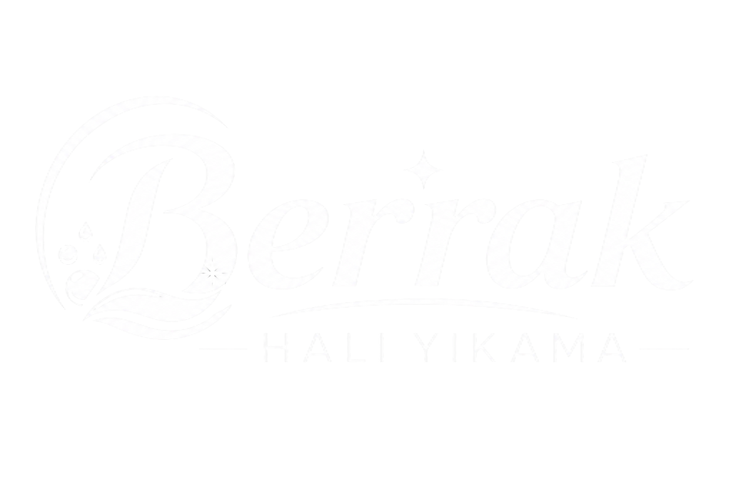 Berrak Halı Yıkama Logo
